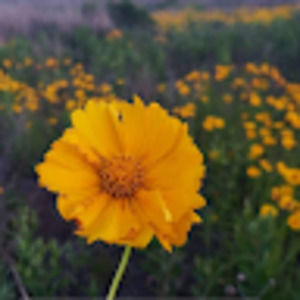 Meet your Posher, Esther